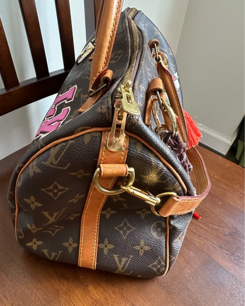 Louis Vuitton Speedy 30 Limited Edition - Image 5