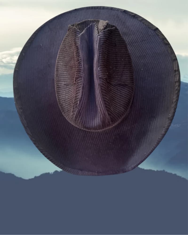 Zandria Cowboy Hat - Image 2