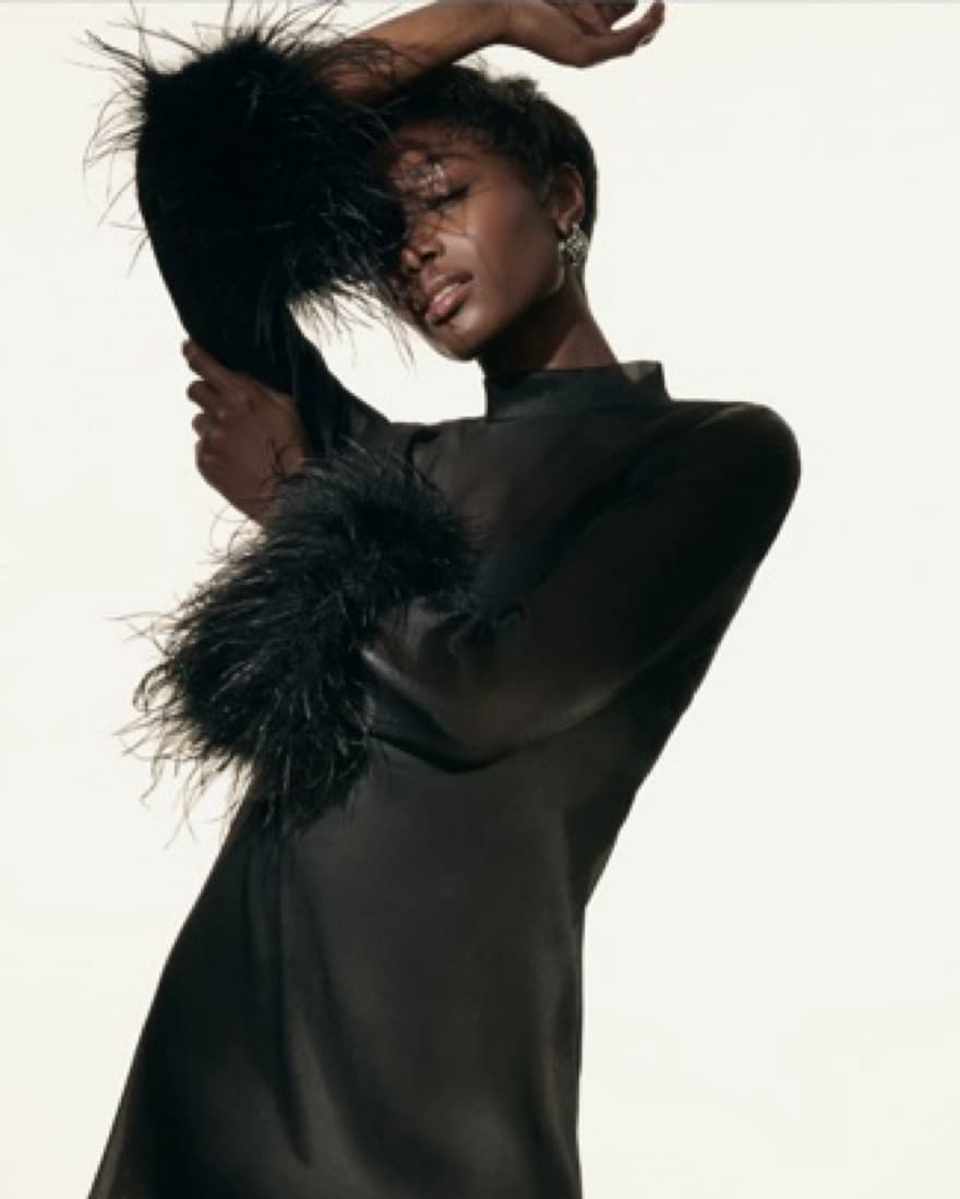 Sheer Feathered Dress - Image 4