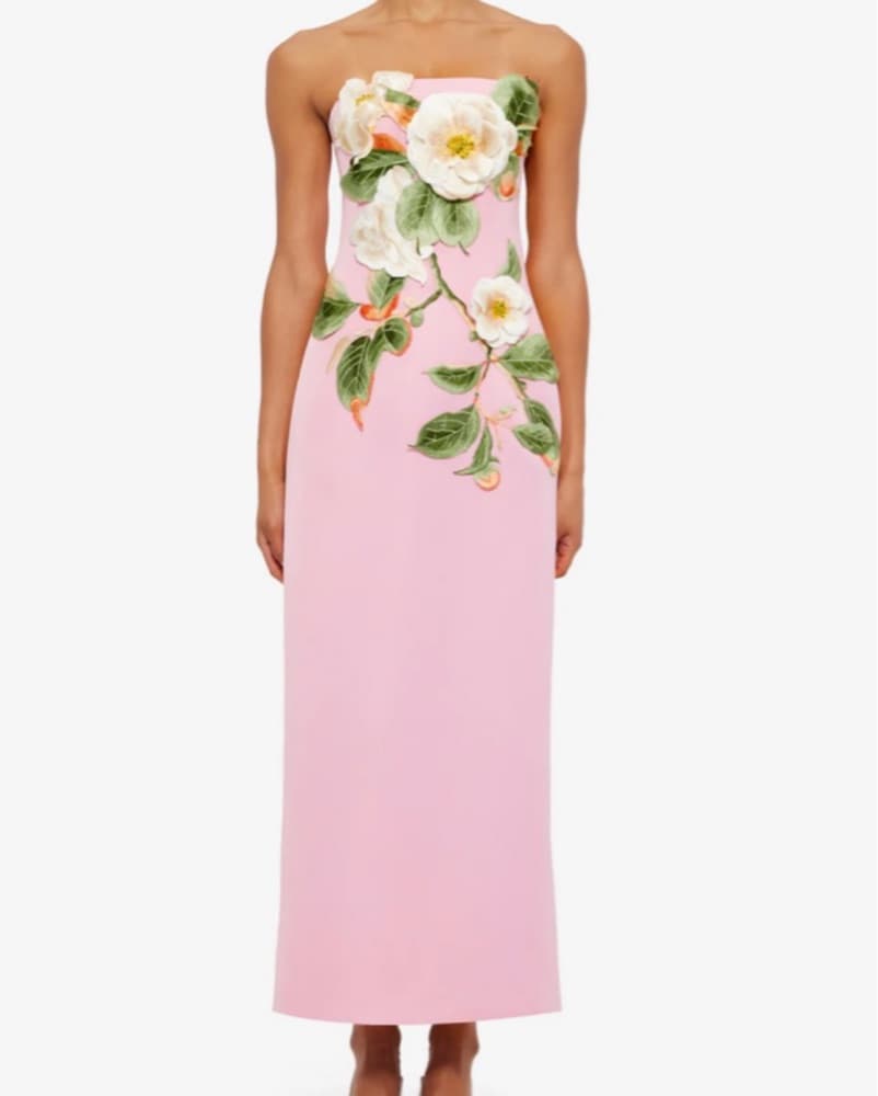 Rayna Appliqué Floral Maxi Dress - Image 1