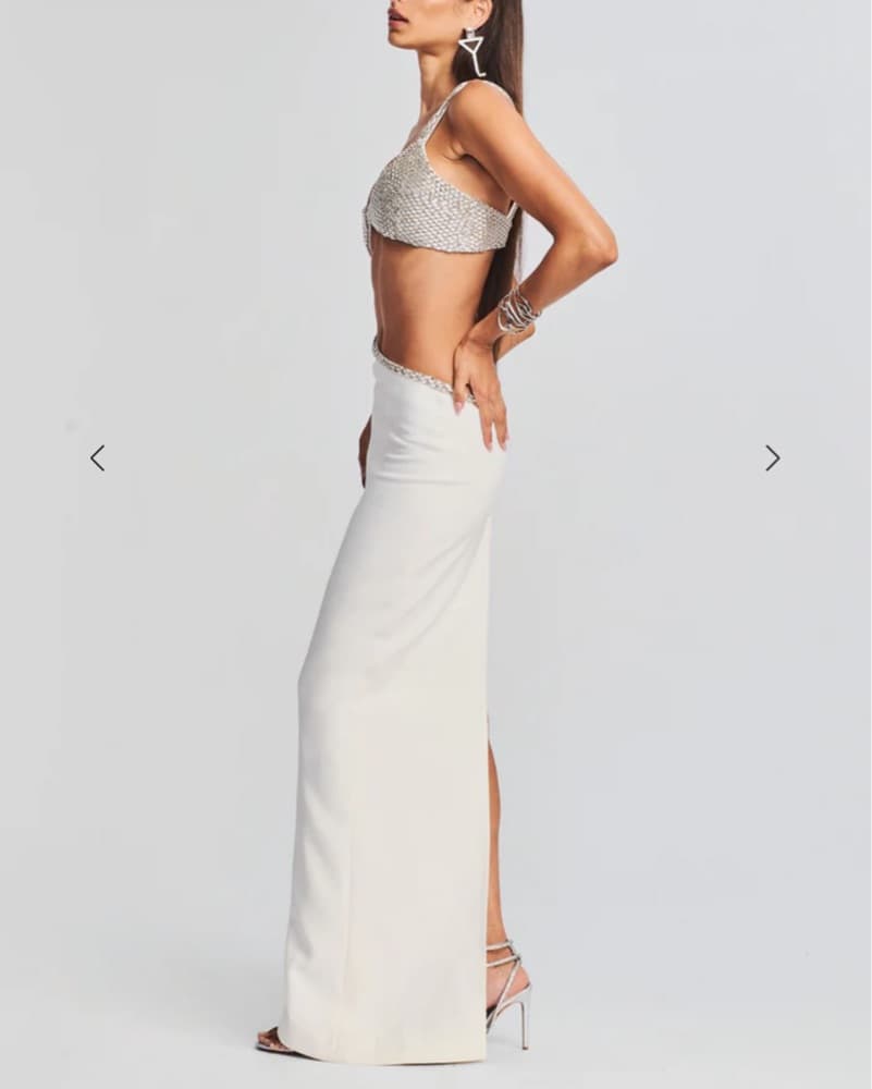 Retrofete Fernanda Dress  - Image 4