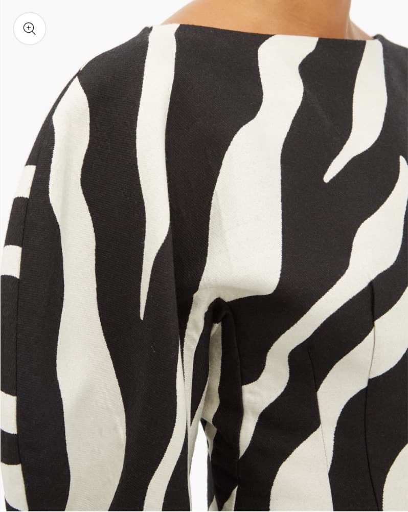 Zebra Mini Dress From Elzinga - Image 4