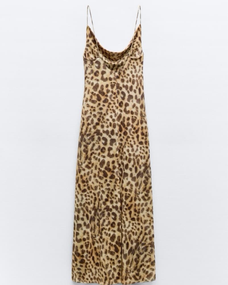 Zara Cheetah Maxi Dress - Image 1