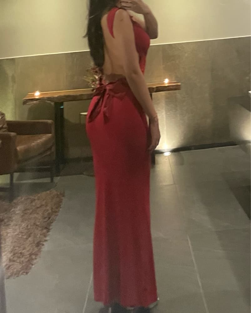 Tigermist Zita Dress Backless Gown - Image 5