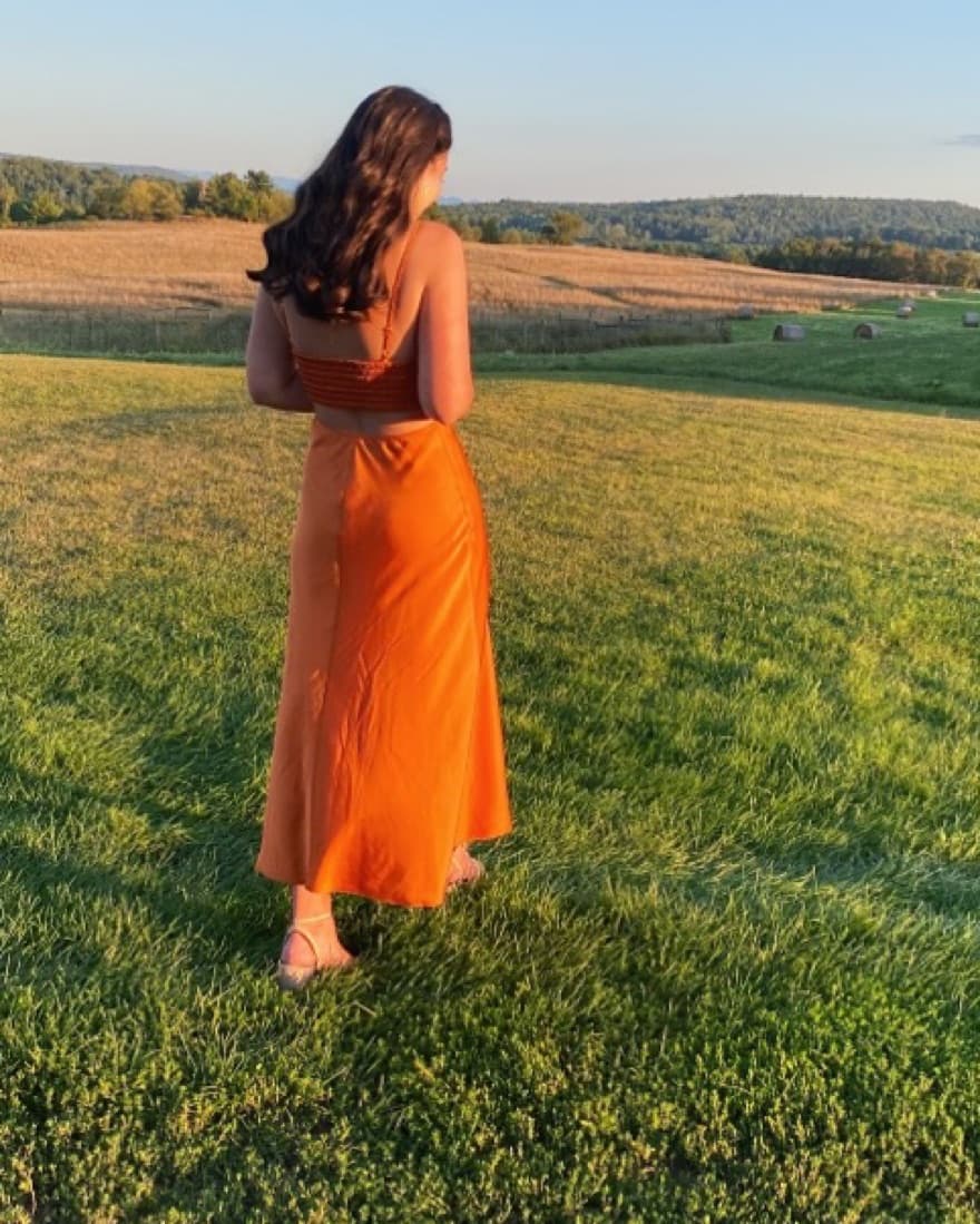 ALC Burnt Orange Cutout Maxi Dress - Image 3