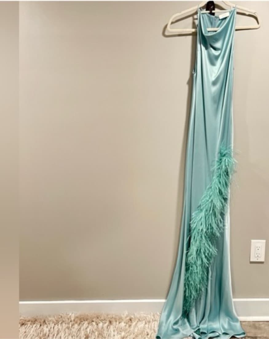 Lapointe Satin Gown with Feathers - Image 3