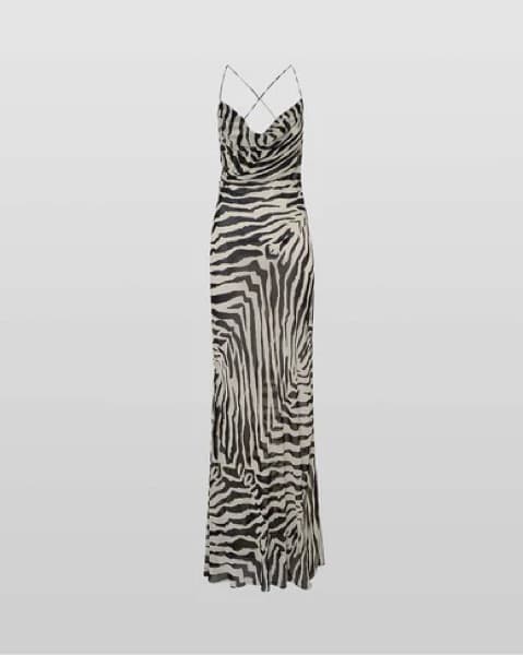RAT & BOA Zinnia Zebra Maxi Dress - Image 2