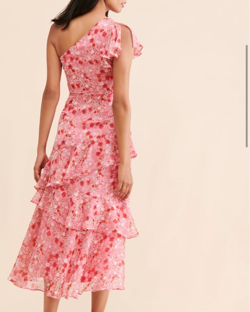 Victoriana Astr Pink Dress - Image 4