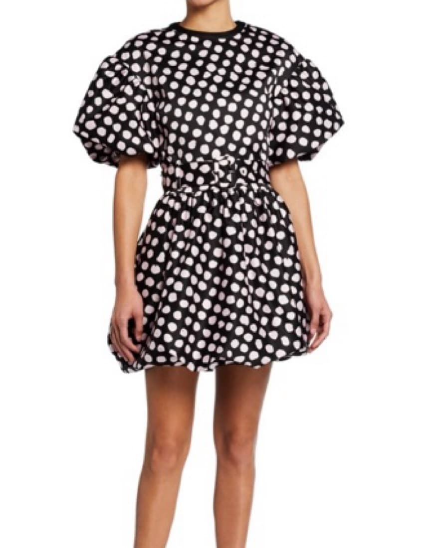 Tanya Taylor Pink Polka Dot Mini - Image 2