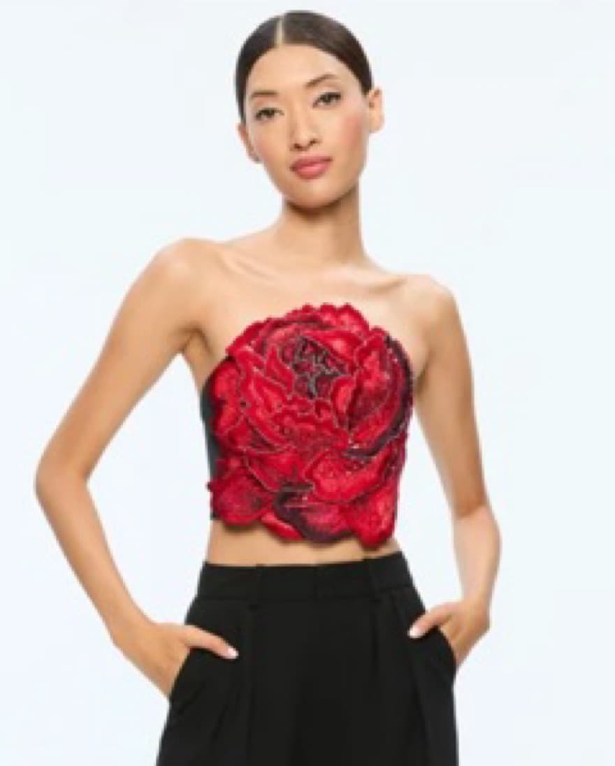 Alice and Olivia flower top - Image 1