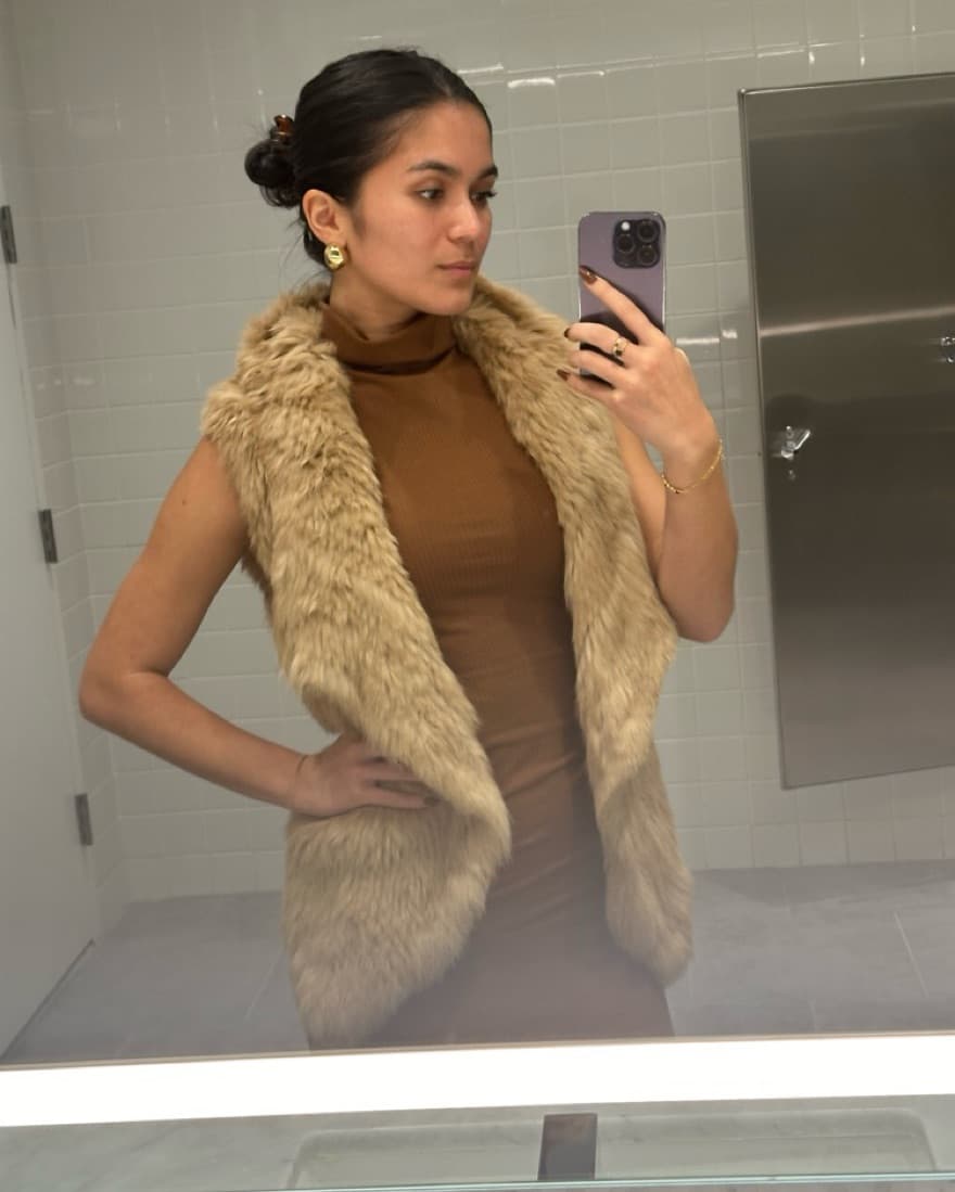 Brown Fur Vest  - Image 1