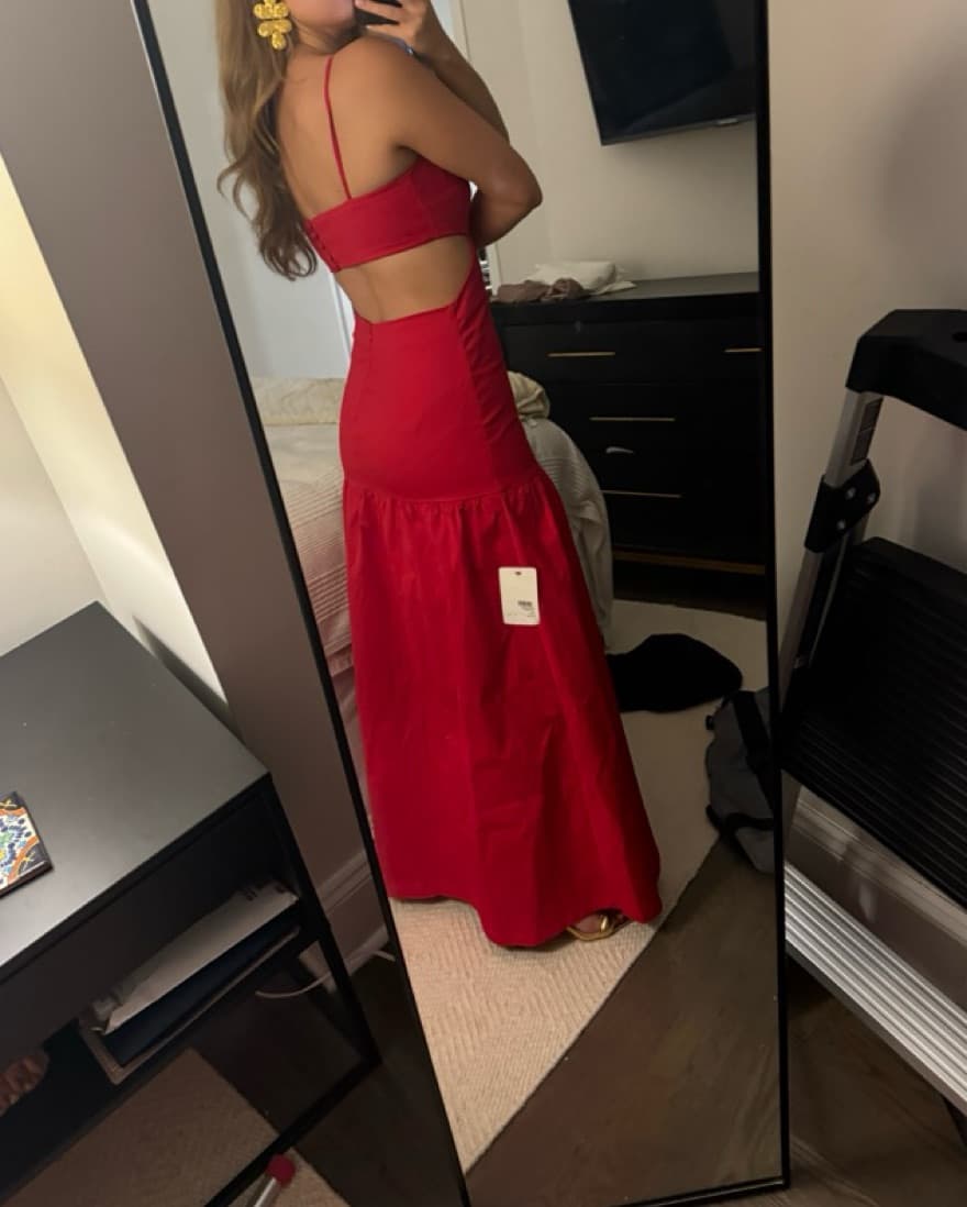 Adriana Degreas Drop Waist Cut Out Dress - Image 5