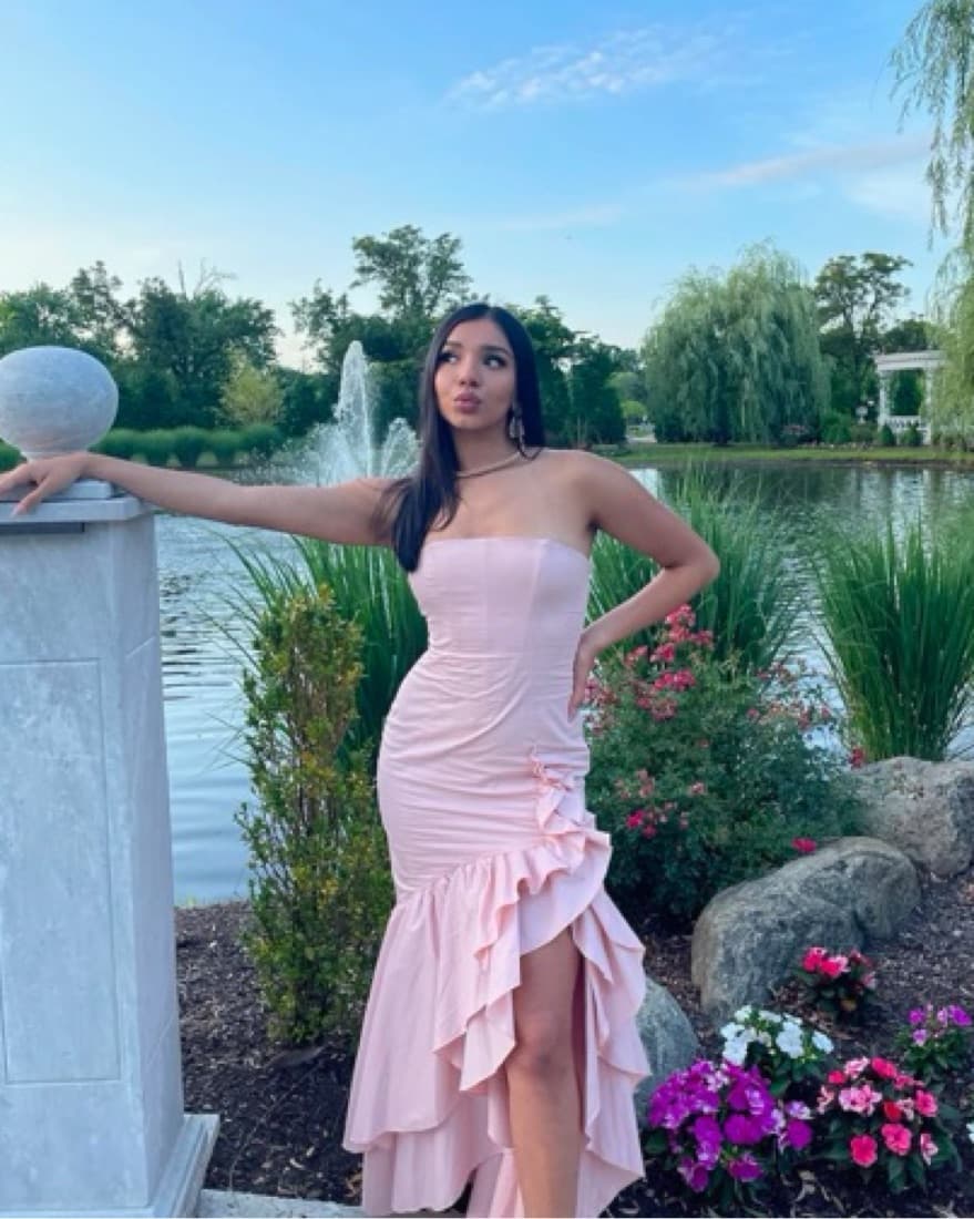 Elegant Ruffled Mermaid Gown Baby Pink  - Image 1