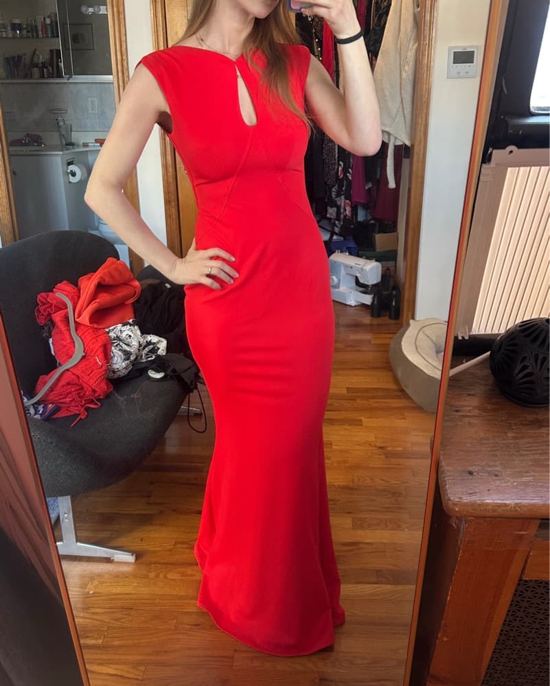 Zac Posen Red Dress - Image 1