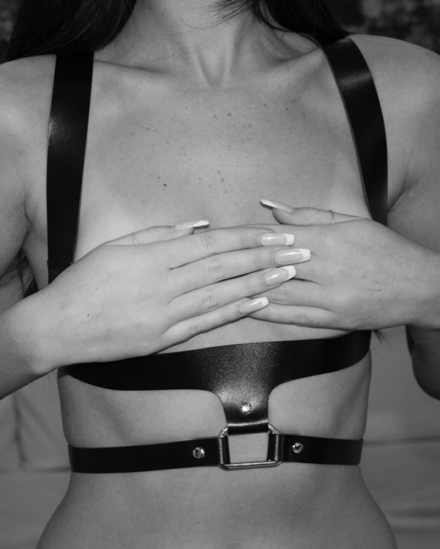 Leather Harness - Image 5