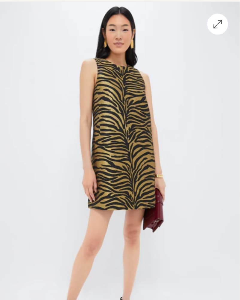 Tiger Print Dress - Image 1
