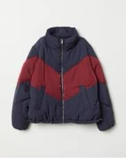 Red And Blue Cropped Puffer - Image 1