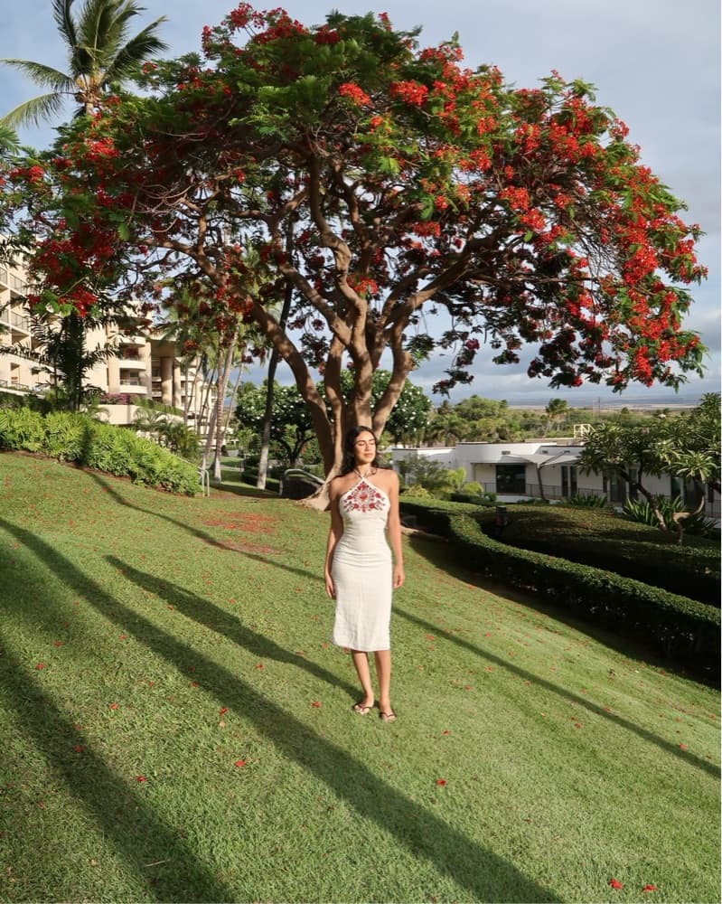 LOBA Maria Embroidered Dress - Image 3