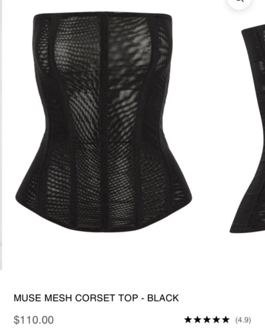 LEAU Muse Mesh Corset Top  - Image 2