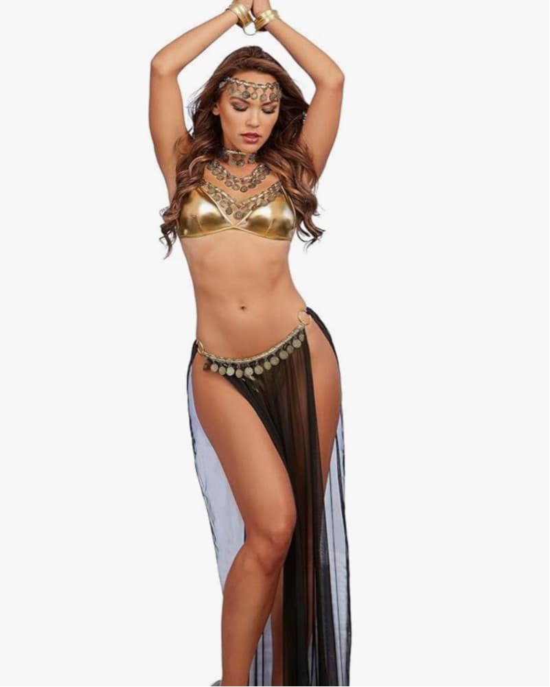 Genie, Belly Dancer, Gypsy Cosstume - Image 2