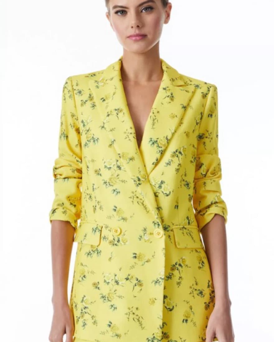Alice + Olivia Blazer - Image 2