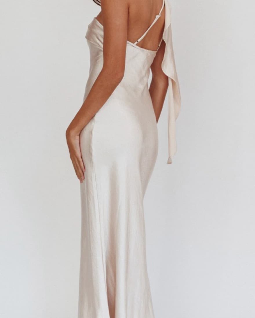 Champagne Dress - Image 2