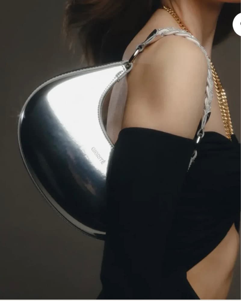 Giarite Silver Handbag - Image 4