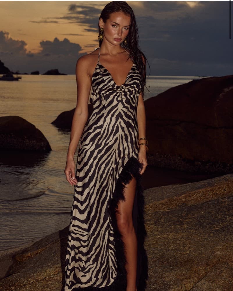 Runaway The Label Zebra Vanya Dress - Image 1