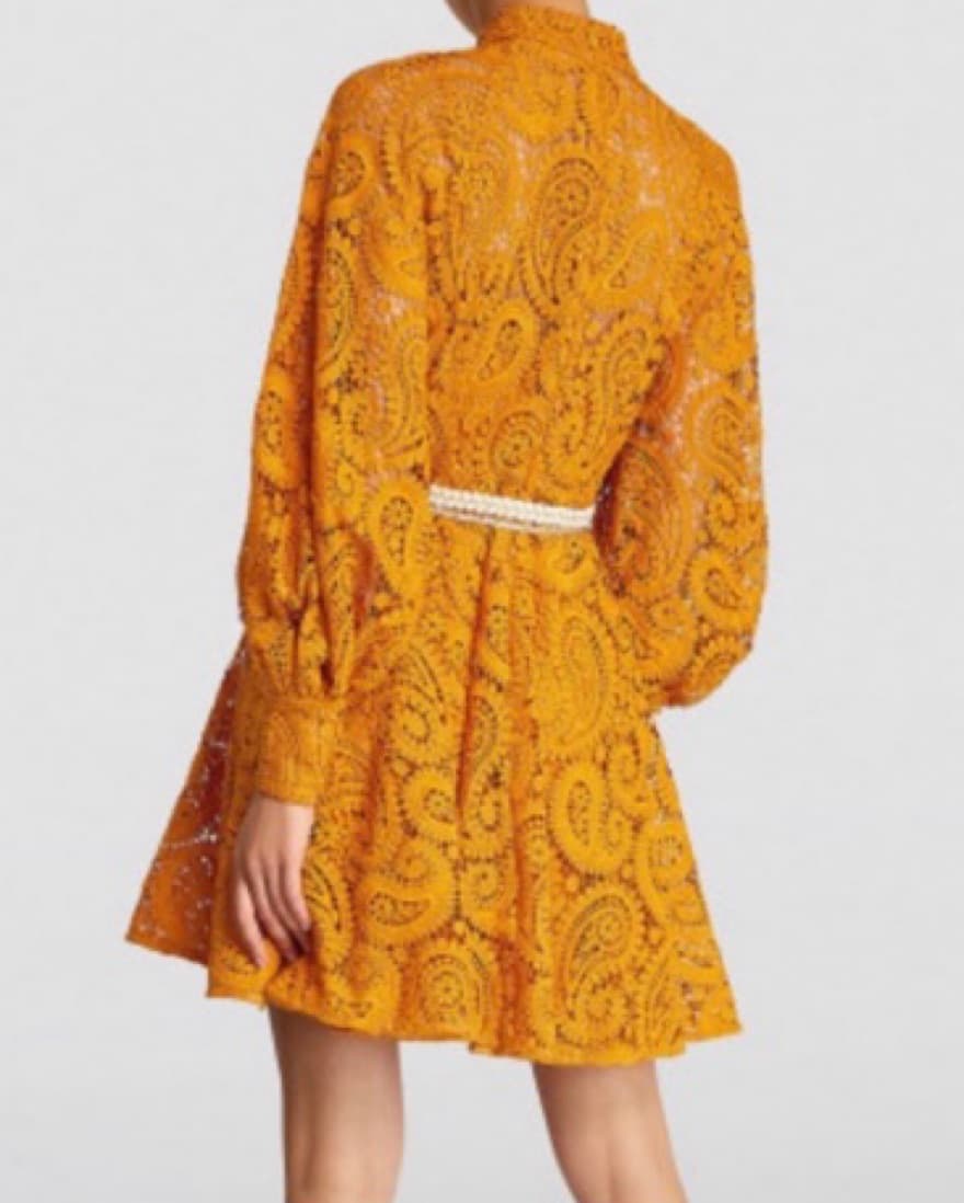 Zimmermann Anneke Lace Paisley Dress - Image 3