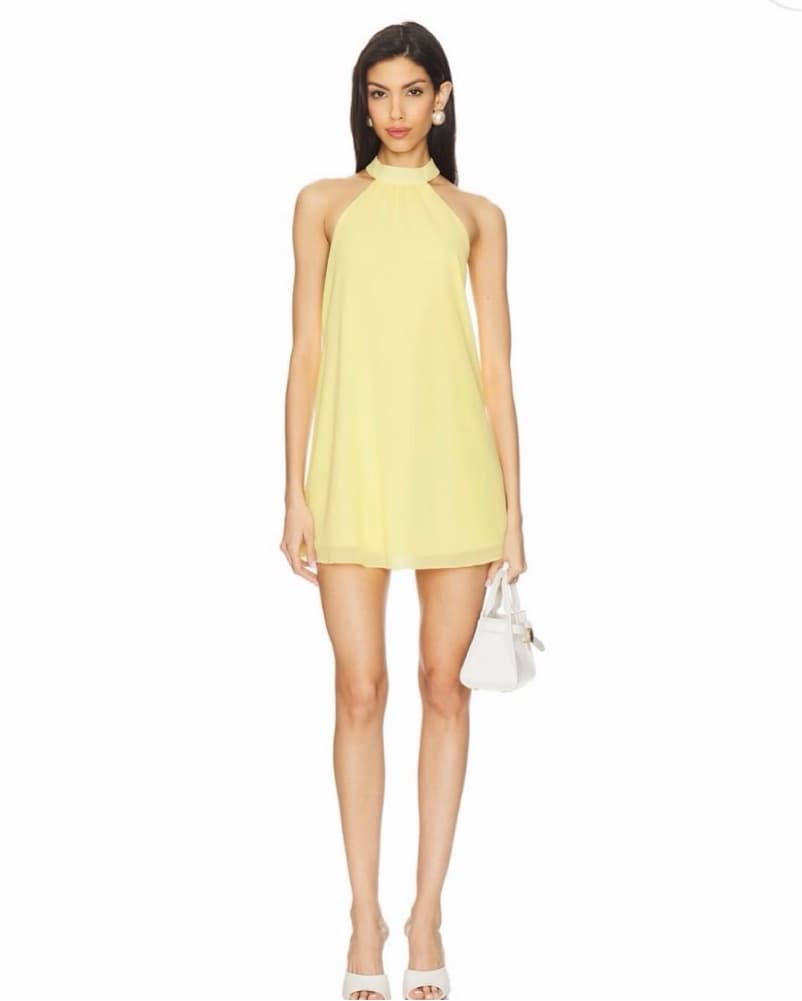 revolve mini open back dress - Image 1