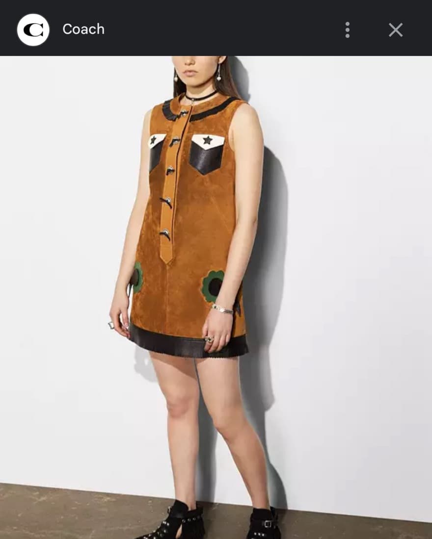 Cowgirl Costume!! Vintage Coach Dress - Image 3
