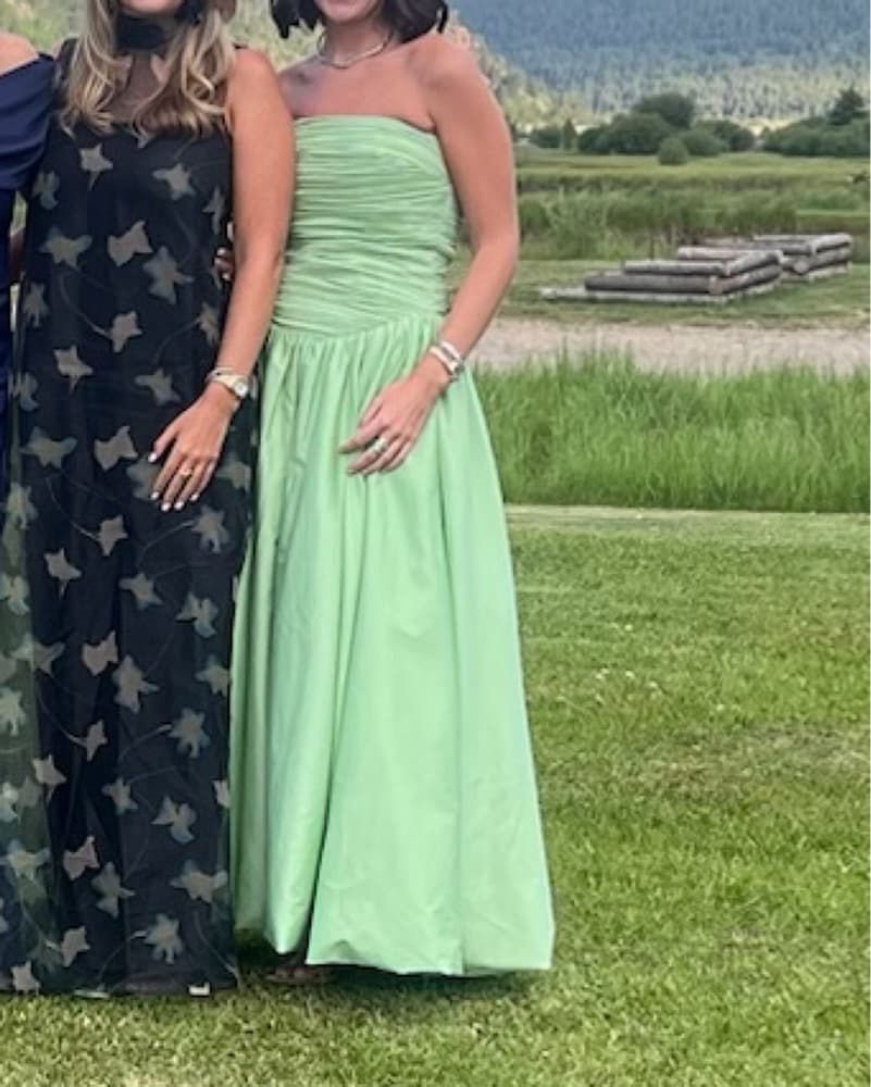 Elegant Mint Green Gown - Image 2