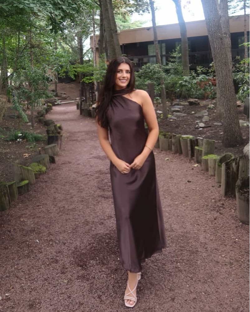 Renee C. Chocolate Brown Satin Dress - Image 1
