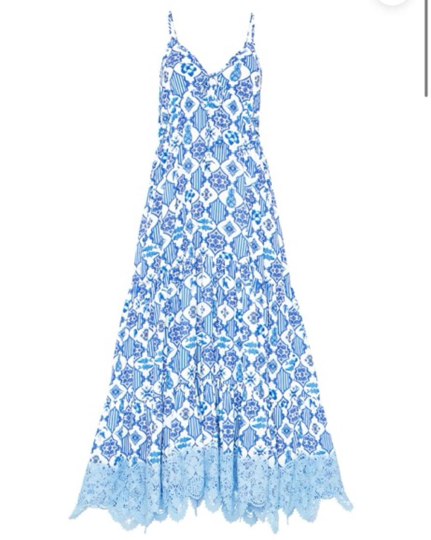 Blue And White Maxi Dress - Image 1