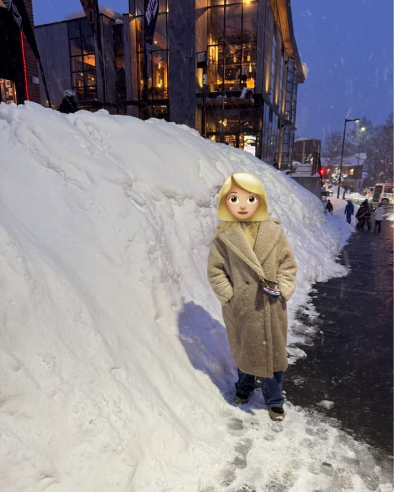 Max Mara Ombré Teddy Coat - Image 5