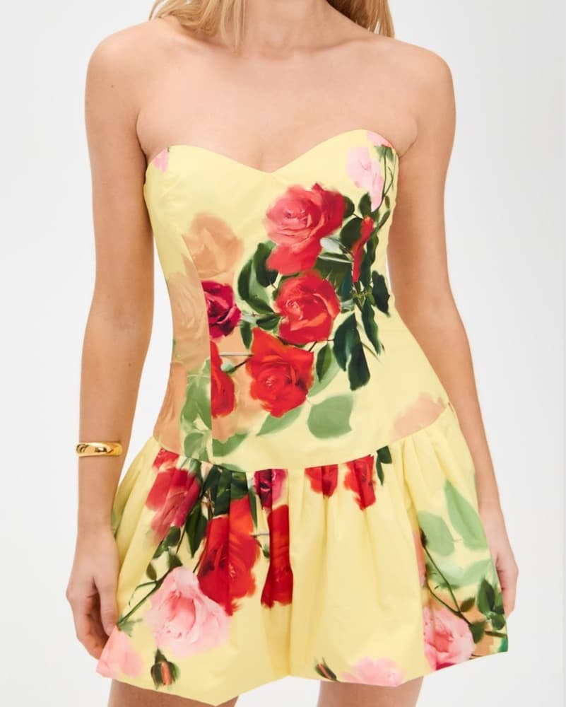 Cara Cara Elena Dress  - Image 1