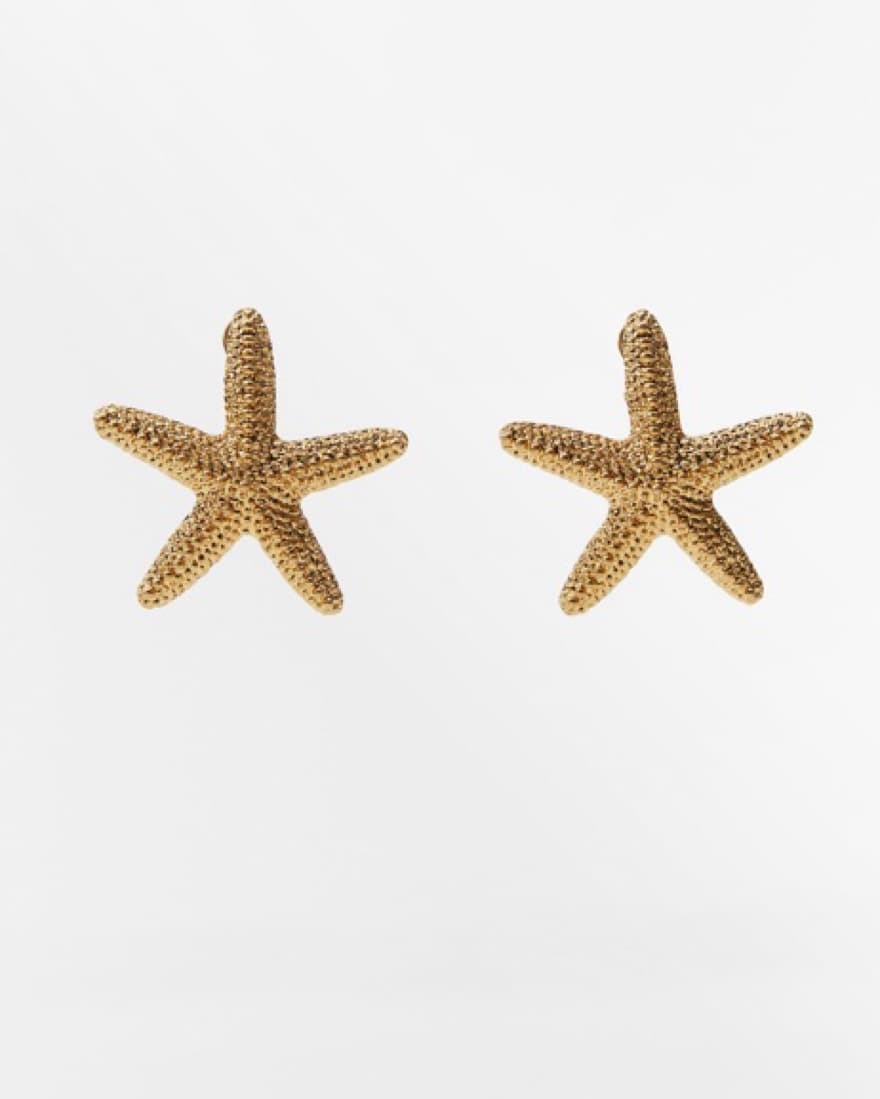 Starfish Earrings - Image 4