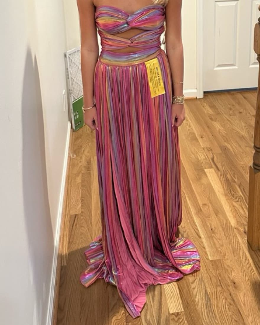NWT BRONX AND BANCO  Valerie Gown In Pin - Image 3