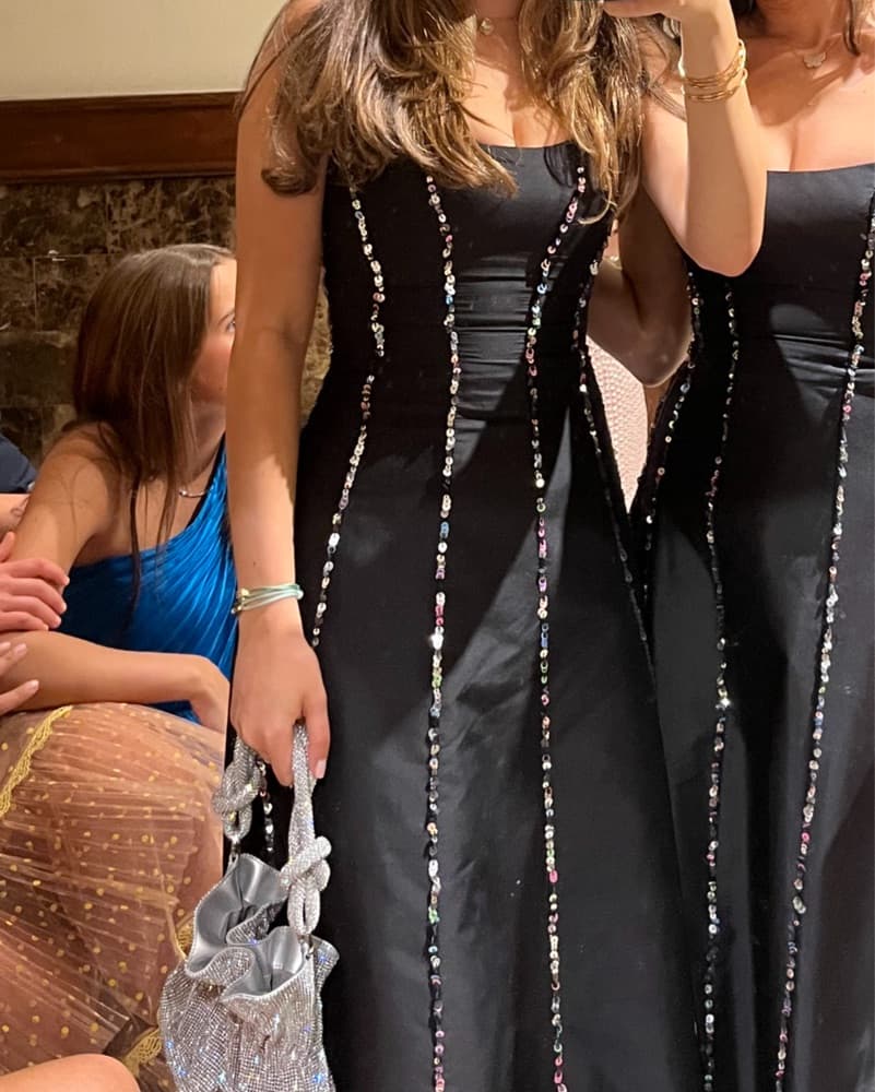 Rasario Sequined Silk Midi Gown - Image 5