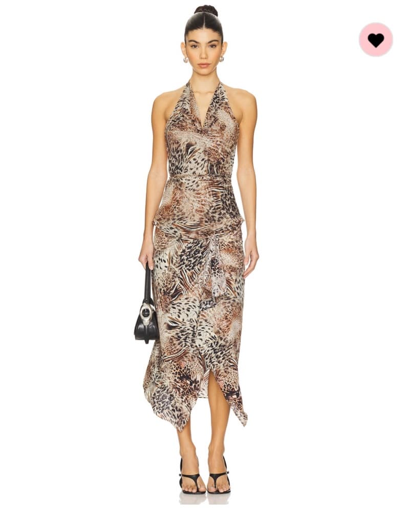 Lioness Leopard Set - Image 1