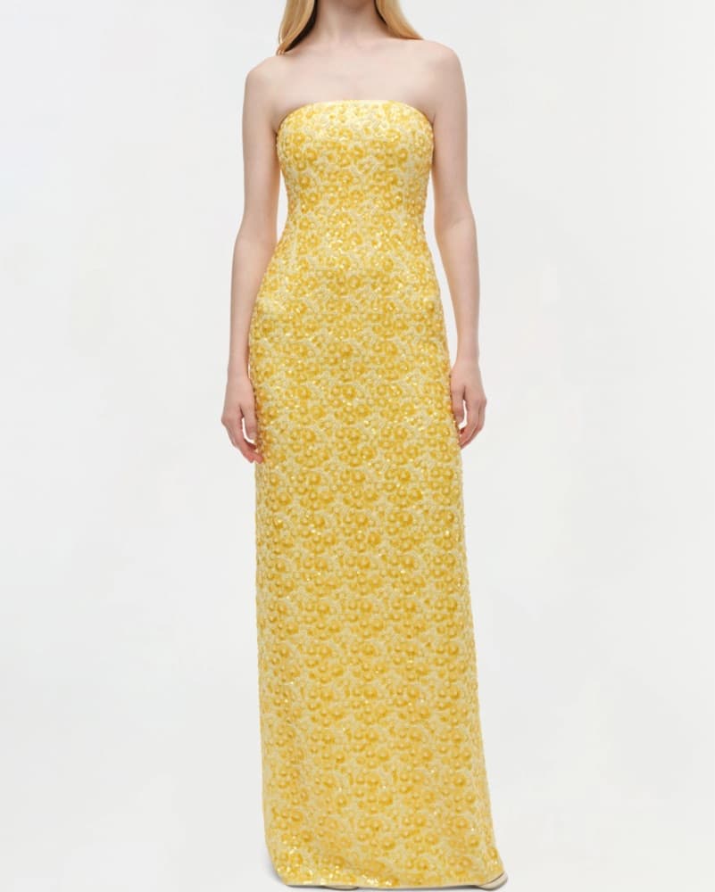 Simkhai Savia Strapless Embellished Gown - Image 1