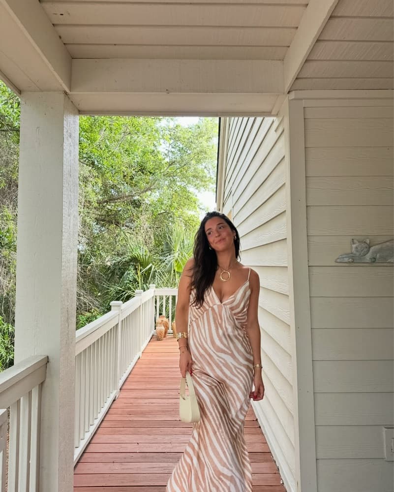 Misa Los Angelos Zebra-Print Silk Dress - Image 3