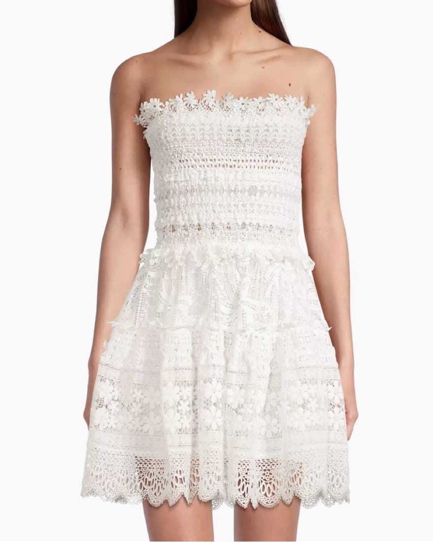 Waimari Vallarta Lace Minidress - Image 2