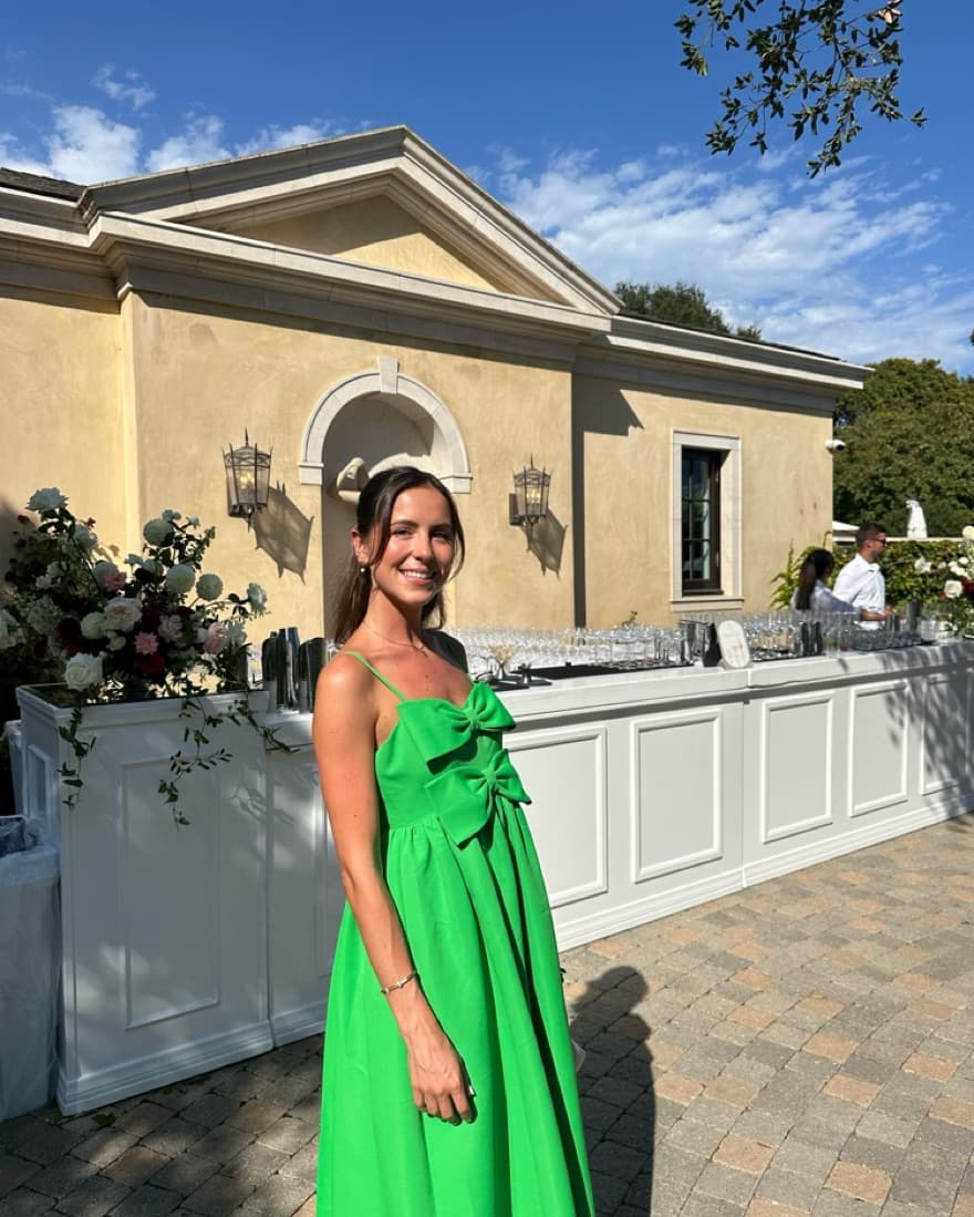 Sachin & babi Sloane Sleeveless Gown - Image 4