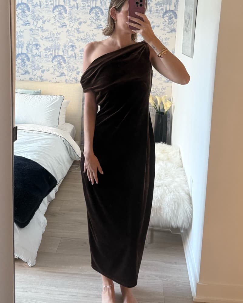 Reformation Brown Velvet Dress  - Image 1