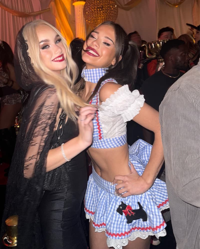 Sexy Dorthy Costume -Trashy Lingerie  - Image 3