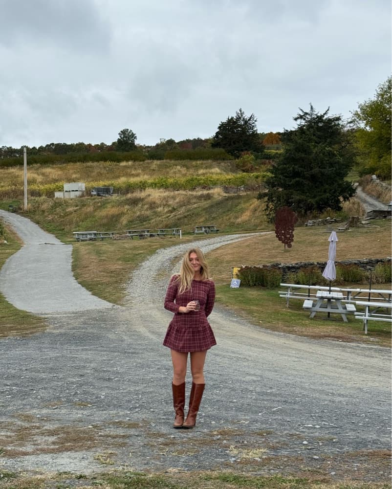 Dairy Boy Plaid Dress  - Image 2