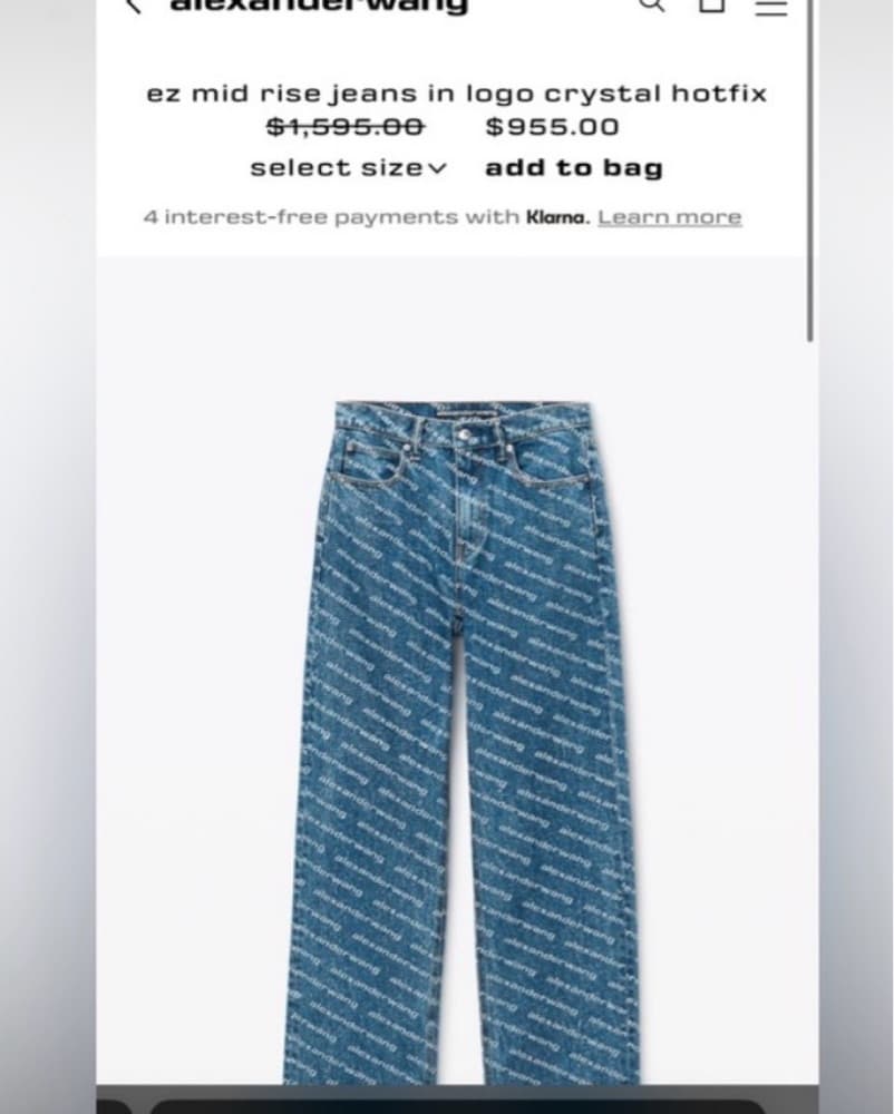 Hotfix Alexander Wang Jeans - Image 3