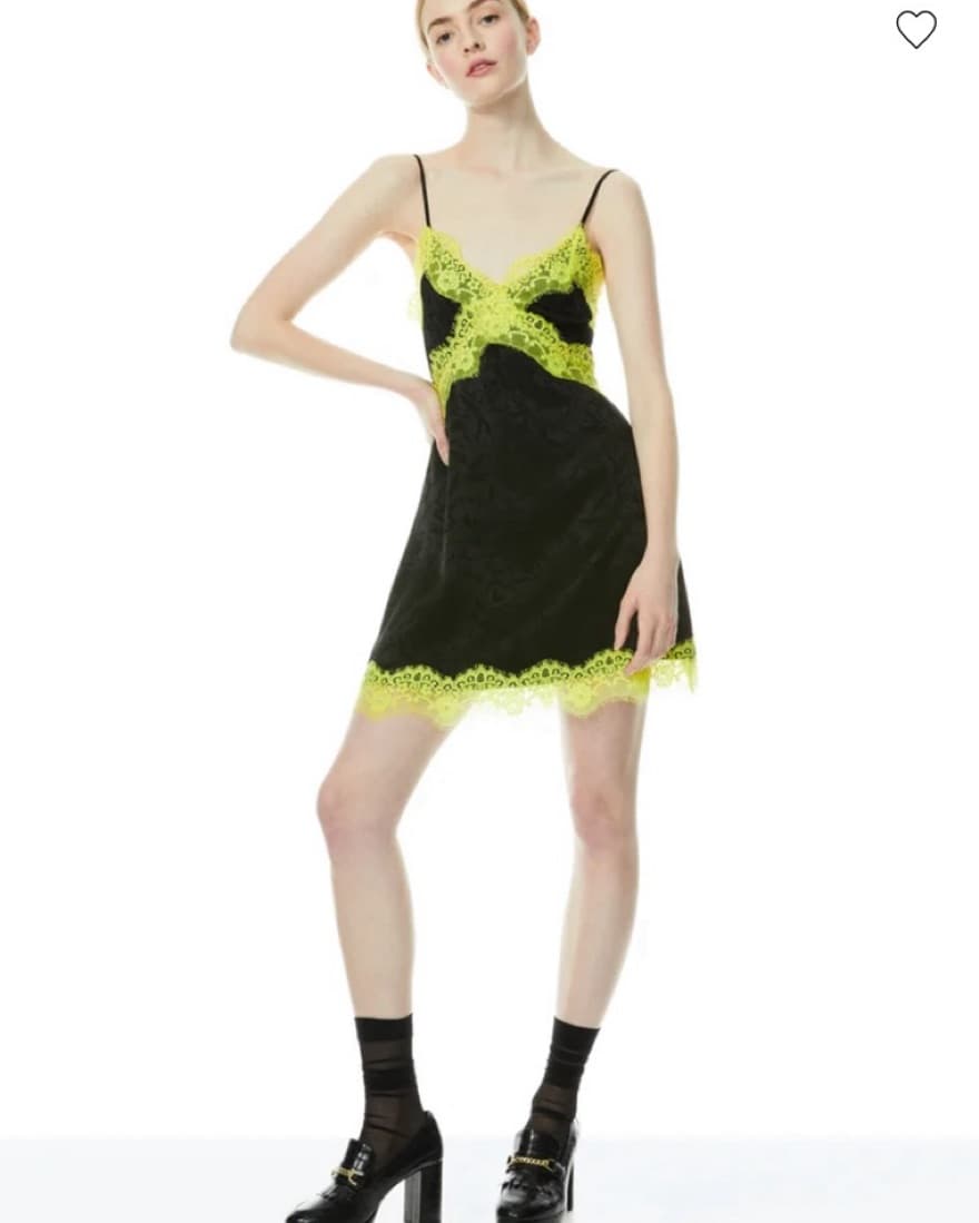 Alice and Olivia Lace Trim Dress  - Image 2