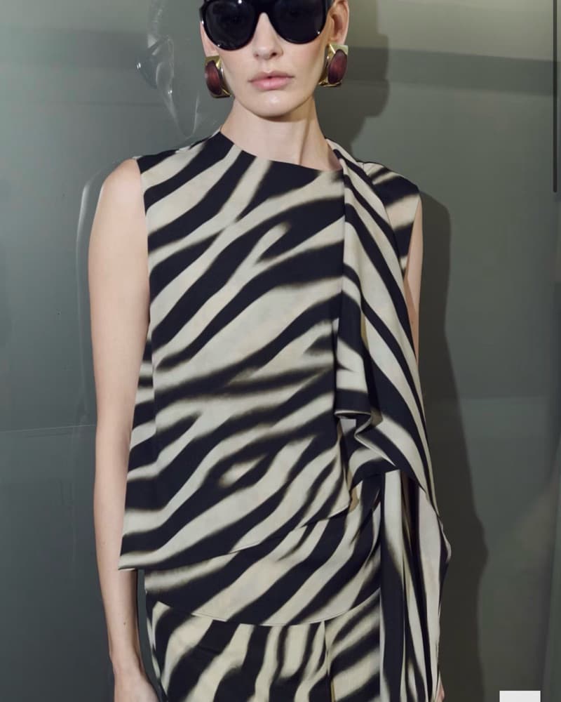 Zebra Pants/top/set - Image 3
